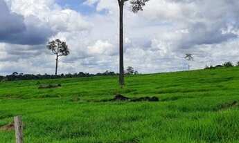 Imagem 2: Fazenda com 229 alqueires Alto Paraiso