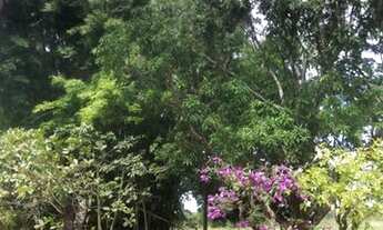 Imagem 3: Excelente Chácara em Bela Vista!