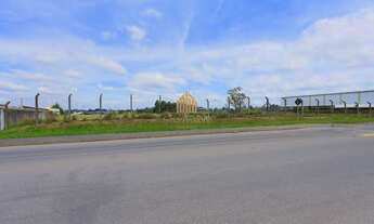 Imagem 7: Excelente Área comercial - Thomaz Coelho - Araucária