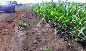 Imagem: Ribeirão Cascalheira - Fazenda - Zona Rural