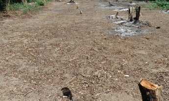 Imagem 5: Vendo terreno em Campo Grande - Rio da Prata