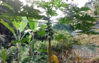 Imagem 6: Sitio em Biguaçu próximo ao novo anel viário