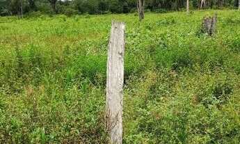 Imagem 7: Fazenda 150 alqueires Alto Paraíso