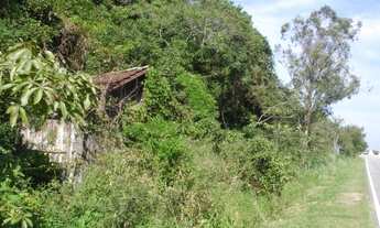 Imagem 7: Terreno para Venda em Pântano do Sul Florianópolis-SC - 190T