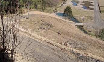 Imagem 5: Sítio - Bom Retiro SC