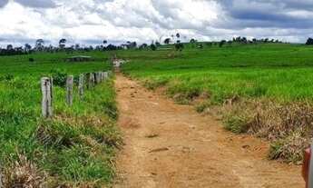 Imagem 5: Fazenda com 229 alqueires Alto Paraiso