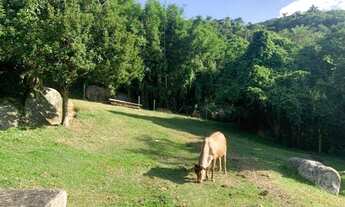 Imagem 3: Terreno com 600m² no bairro Praia Brava em Florianópolis para Comprar