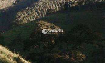 Imagem 6: Santo Antônio do Pinhal - Sítio - Zona Rural