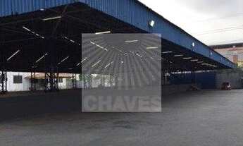 Imagem 8: SÃO PAULO - Galpão/Depósito/Armazém - VILA LEOPOLDINA