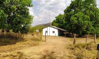 Imagem 4: Fazenda 23 KM de Porto Nacional