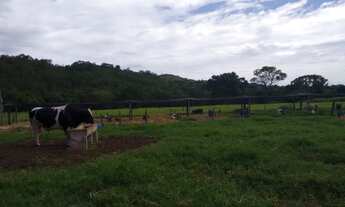Imagem 4: Fazenda para venda 25 Alqueires em Zona Rural - Heitoraí - GO