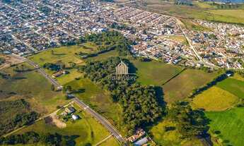 Imagem 7: Grande área com ótimo potencial construtivo