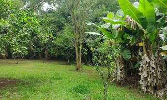 Imagem 2: Fazenda/Sítio/Chácara para venda tem 220 metros quadrados com 2 quartos em Fiuza - Viamão