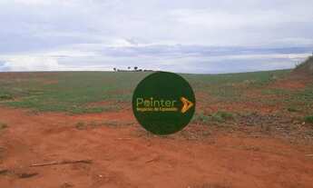 Imagem 2: Fazenda à venda, 1597200 m² por R$ 16.500.000,00 - Fazenda Santa Bárbara de Baixo - Santa