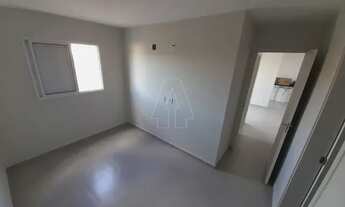 Imagem 5: Araçatuba - Apartamento - Petit-Trianon