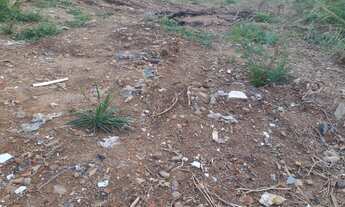 Imagem 4: Vende se lotes Terreno / lote com venda por R$1