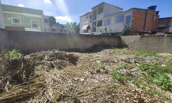 Imagem: TAQUARA LADO BRT E COMERCIO LOTE MURADO