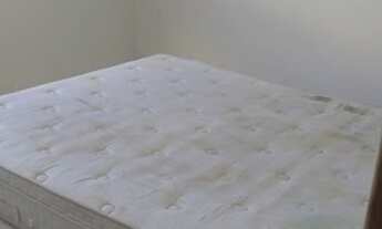 Imagem 7: Apartamento Campeche - R$1.550,00 mensal