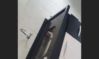 Imagem 4: Alugo APTO Reformado