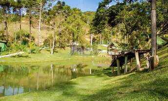 Imagem 2: São Pedro de Alcântara - Sítio - Santa Teresa