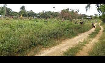 Imagem 2: Ótimo Terreno 50 X 50 km 70, 10 km de Manacapuru documentado