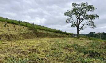Imagem 6: DV- Vendo terreno barato próximo ao centro !!!