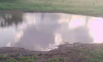 Imagem 7: Excelente oportunidade de comprar sua fazenda de 90 t, às margens da BR 324 N