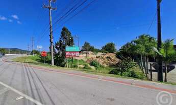 Imagem: Terreno amplo em localização estratégica