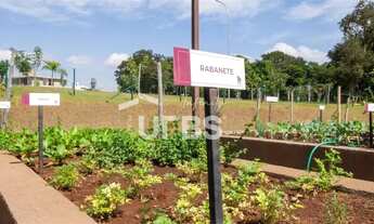 Imagem 11: Lote no Jardins França