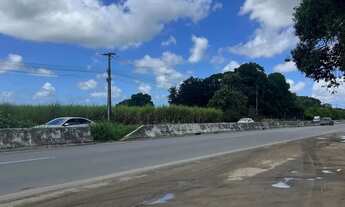 Imagem: VENDE-SE OU ALUGA-SE ÁREA NA BR-104 (Sentido