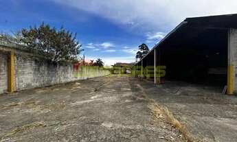 Imagem 2: Galpão 4.830m² na Vila Guilherme por R$ R$ 70.000,00