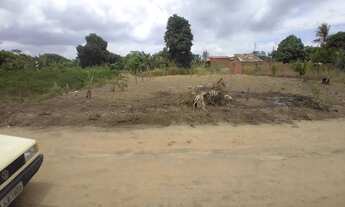 Imagem: Terreno em Mangabeira