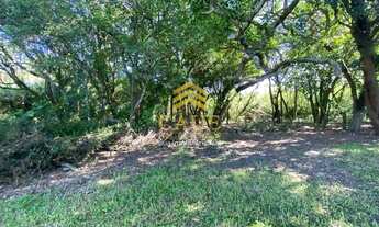 Imagem 7: Imóvel para venda tem 20000 metros quadrados com 3 quartos em Águas Claras - Viamão - RS