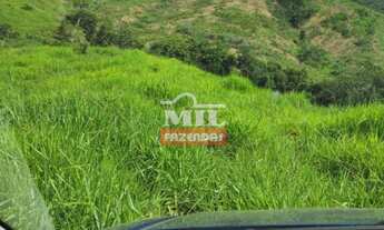 Imagem 7: Fazenda de 100 alqueires (484 hectares) em Pires do Rio - GO