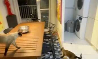 Imagem 4: RR9302 Apartamento MOBILIADO 45m² CONDOMÍNIO ACQUA PARK - OPORTUNIDADE - 2 Dorms 2 Vagas