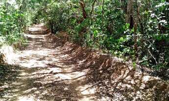 Imagem 2: Chácaras próximo a Anápolis