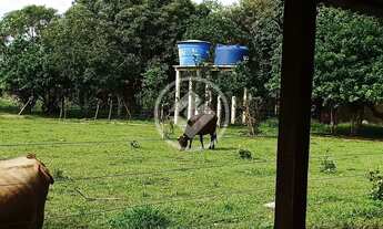 Imagem 4: Sítio Quintal do Morro PORTEIRA FECHADA -35 km do centro de Cuiabá propriedade fica aos pé