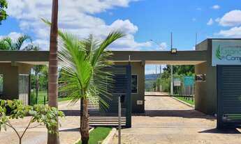 Imagem 2: Lotes Planos 1.000m2 Condomínio com Segurança e Lazer Financiamento Facilitado