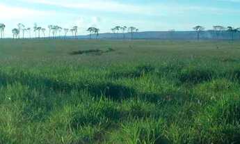 Imagem 2: Fazenda/Sítio/Chácara para venda possui 120000000 metros quadrados em Zona Rural - Comodor