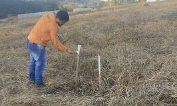 Imagem 5: Terreno ótimo para chácara! Linda vista!