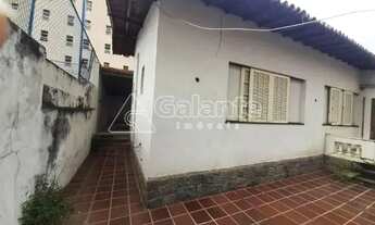 Imagem 5: Terreno - Cambuí - Campinas