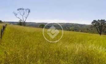 Imagem 2: FAZENDA de 36.1 ALQUEIRES MUNICÍPIO DE SÃO MIGUEL DE PASSA QUATRO codigo: 94549