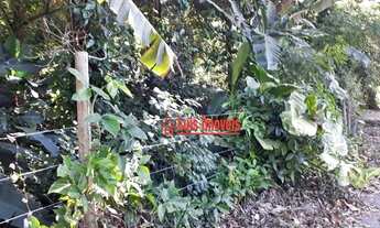 Imagem 6: Terreno à venda, 5000 m² por R$ 300.000,00 - Piratininga - Niterói/RJ