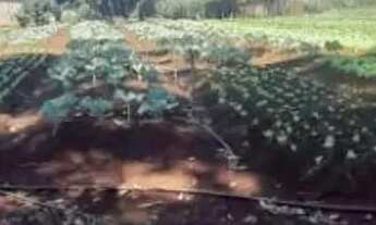 Imagem 7: Chácara à venda, 3269 m² por R$ 200.000,00 - Zona Rural - Rio Verde/GO