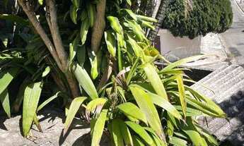 Imagem 7: Terreno com aclive à venda no Parque das Nações em Santo André