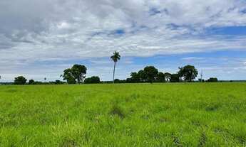 Imagem 2: Fazenda Extra 75 alqueires - Mozarlândia!