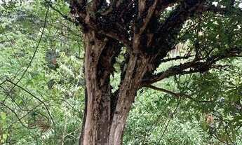 Imagem 4: Jaboticatubas sitio com Rio