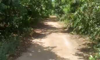 Imagem 2: Vendo lotes em Boipeba-ba.