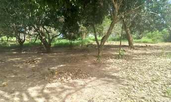 Imagem 6: Vende-se um sítio na região urubuzinho!