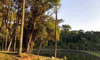 Imagem 7: São José dos Pinhais, Chácara , 4 dormitórios, 2 suítes, contendo 26.320m², Roça Velha, à